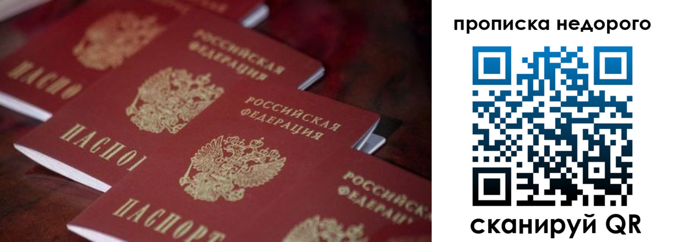 прописка гарантия в Саранске